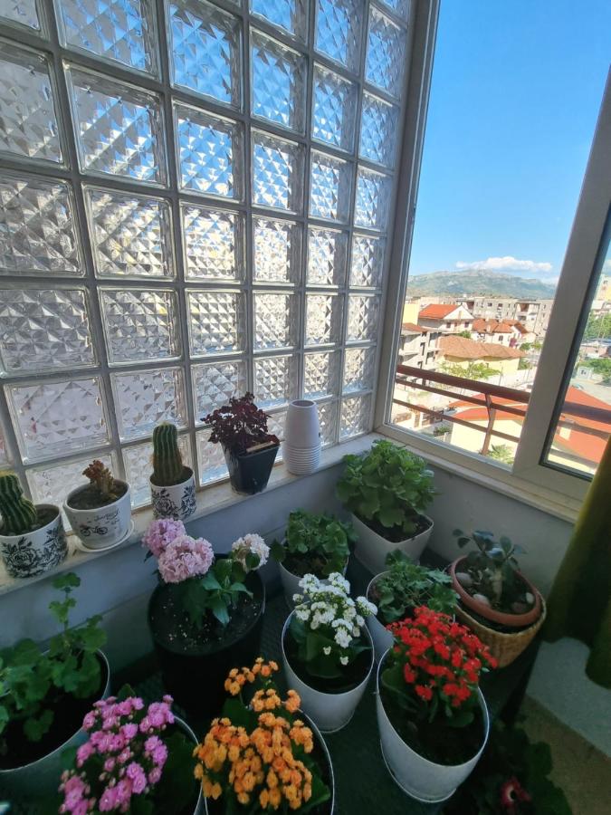 фото Perla Apartment