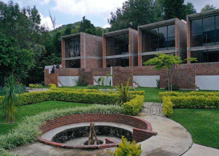 Las Orquídeas