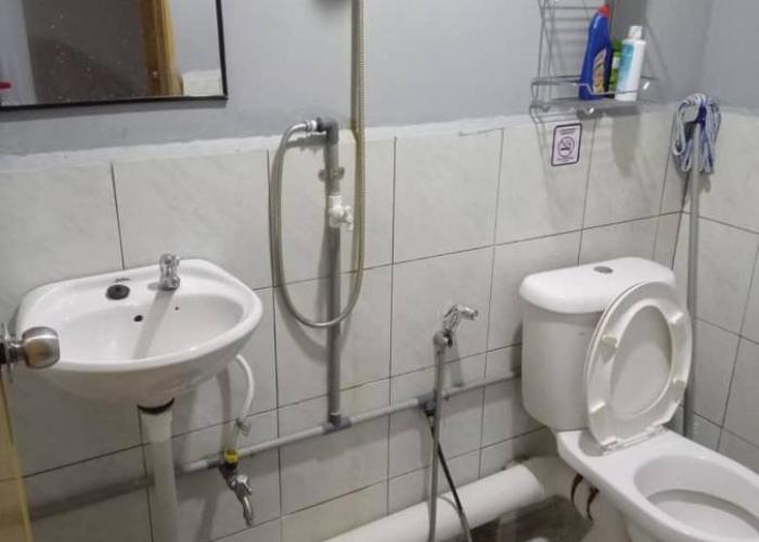 Orchid Homestay
