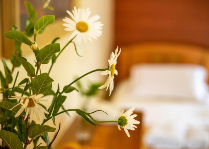 Hostal Uruhao