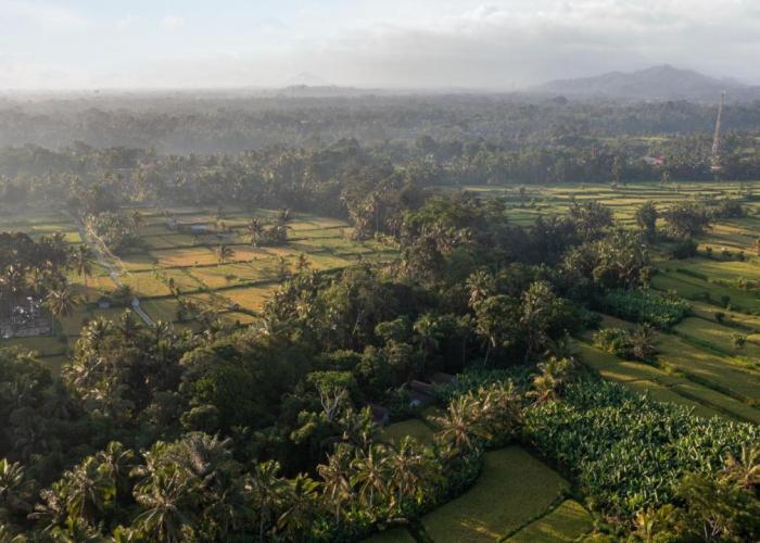Sacred Canyon Ubud by Pramana Villas