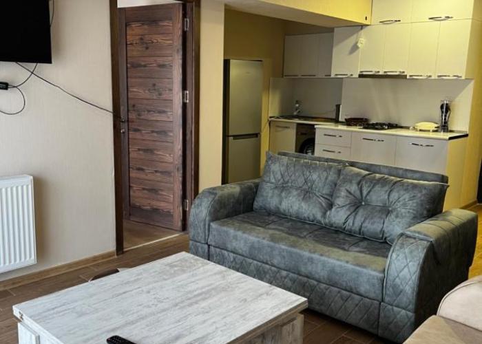 BAKURIANI INN 439