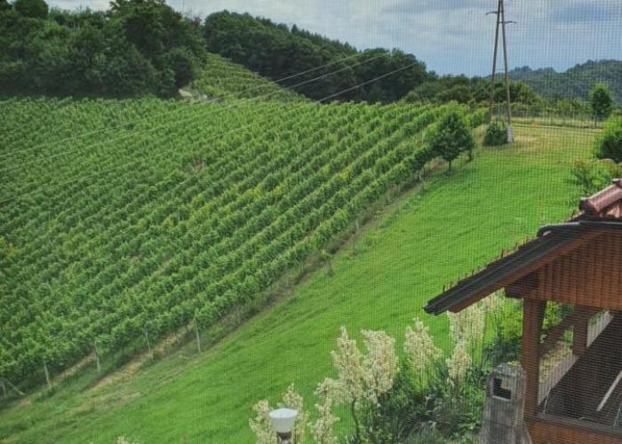 Turistično - Izletniška kmetija Žerjav