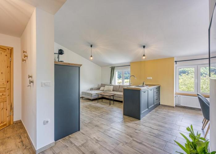 VILA LISJAK - Apartments