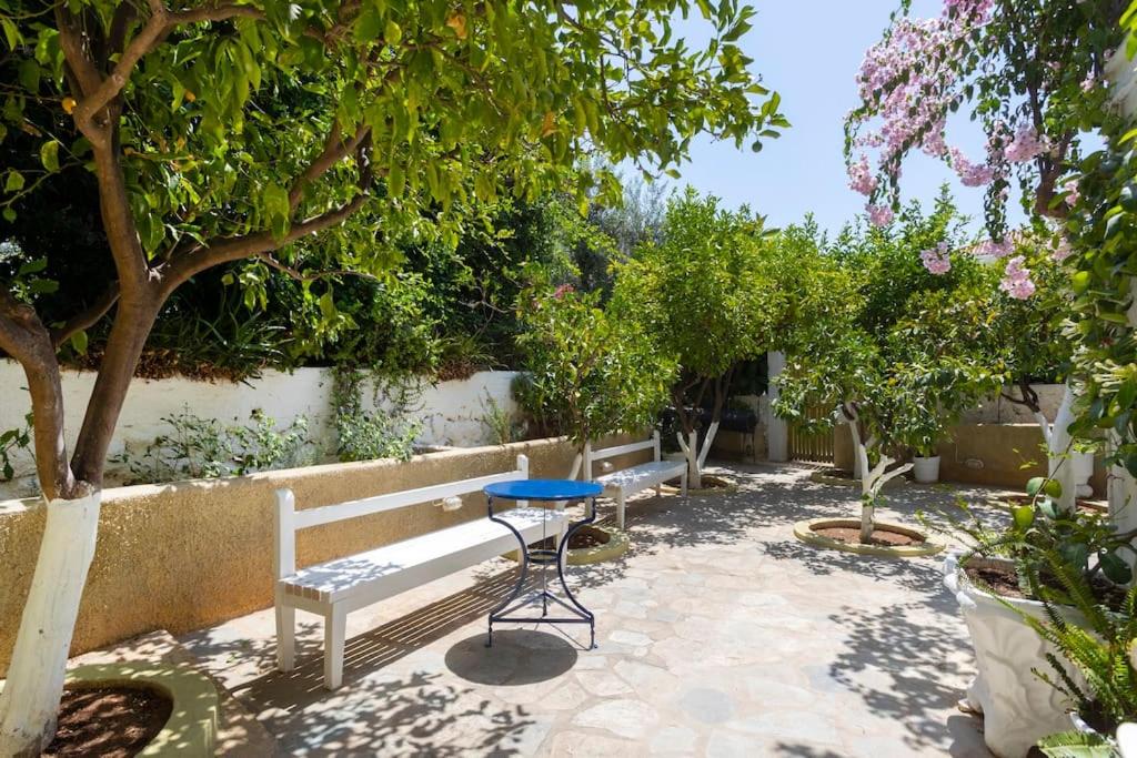 фото Villa Anel