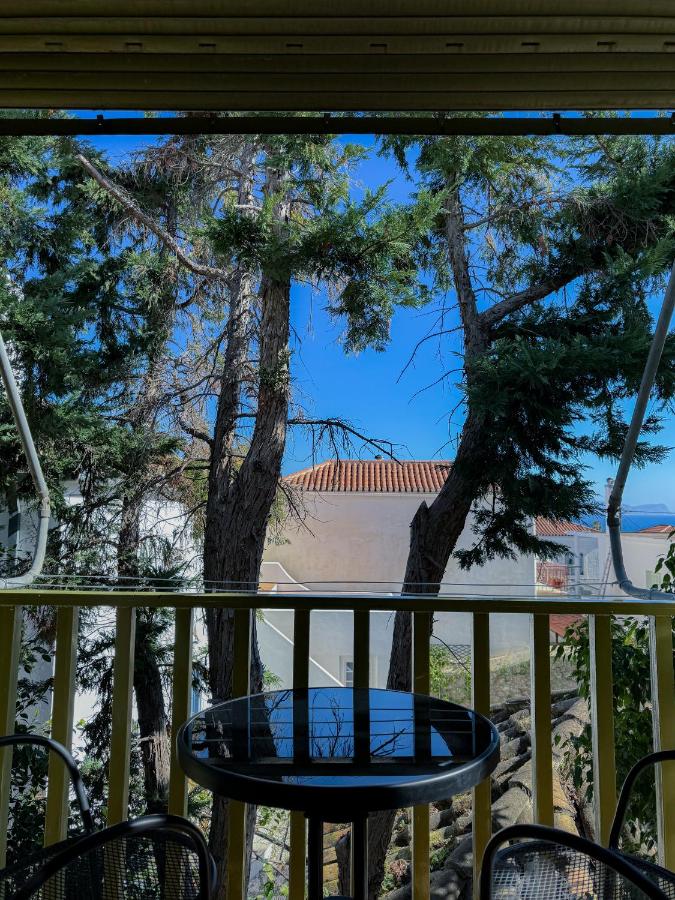 фото Villa Anel