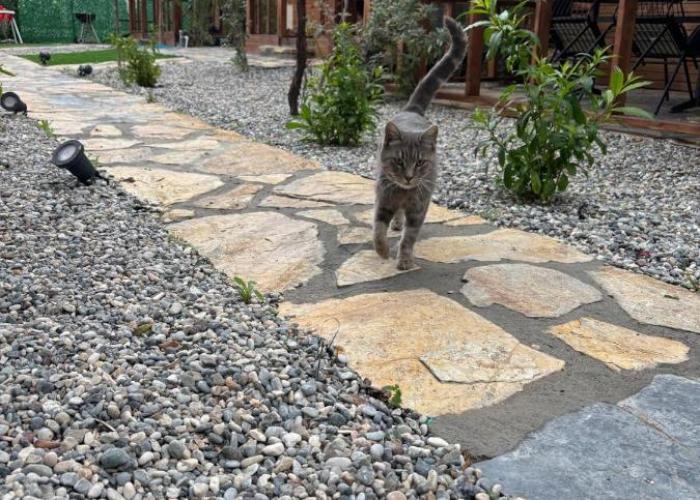 Urla Bungalov Evleri