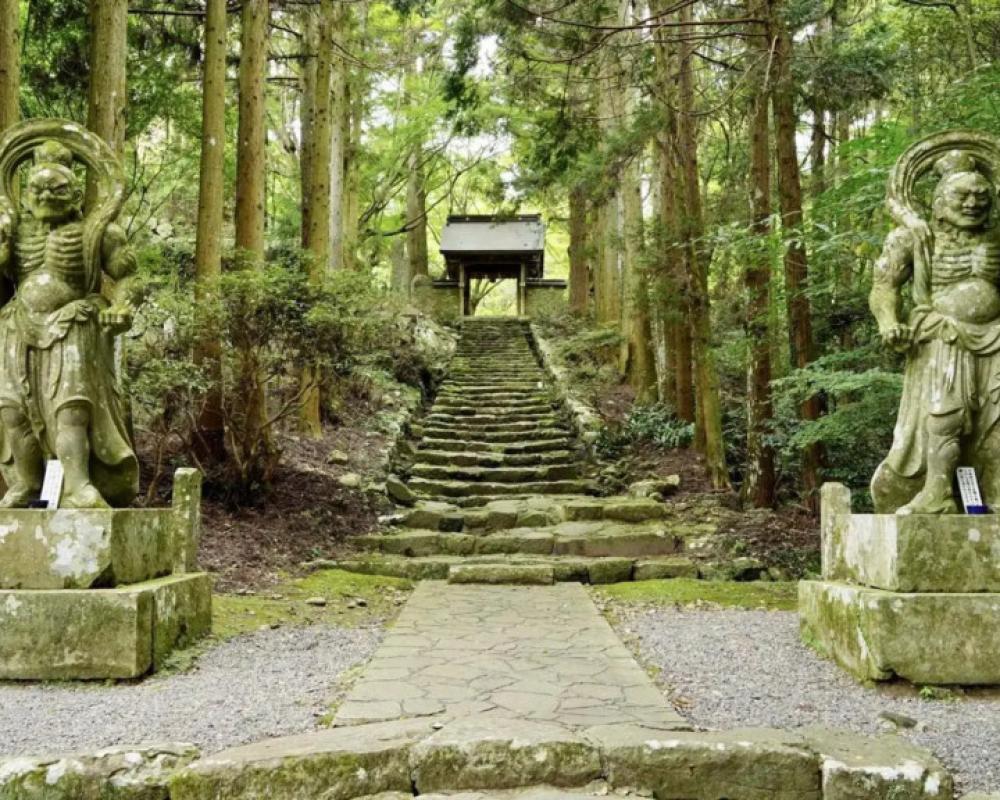 фото Toyoko Inn Oita Ekimae