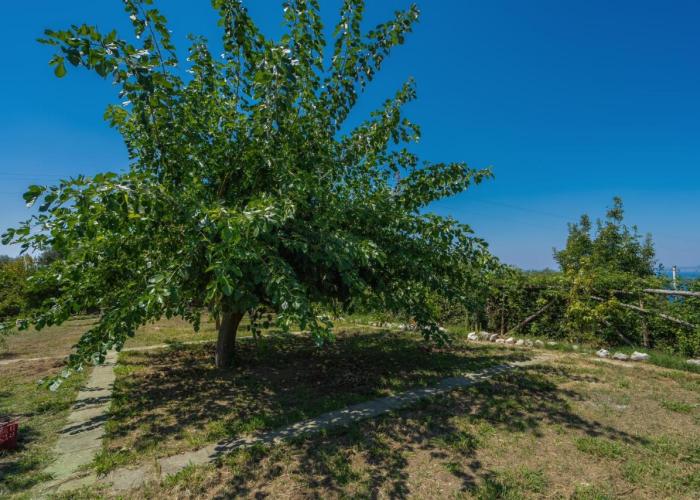 ANTICA DIMORA D'ANCORA