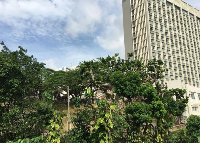Women's Guest House Fukutomi