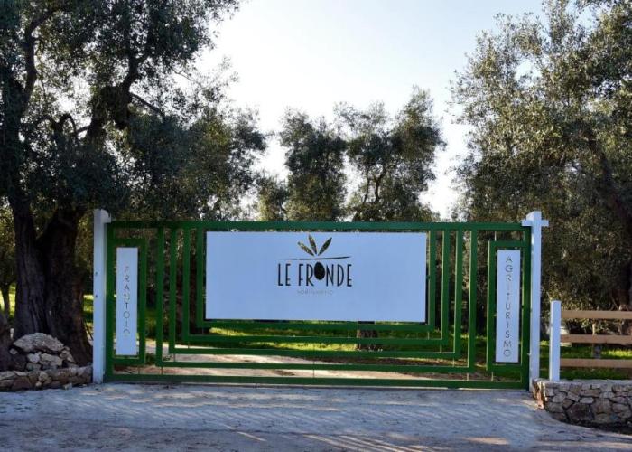 Le Fronde Vieste