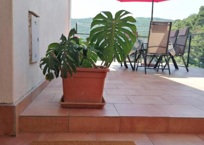 Apartman Milena