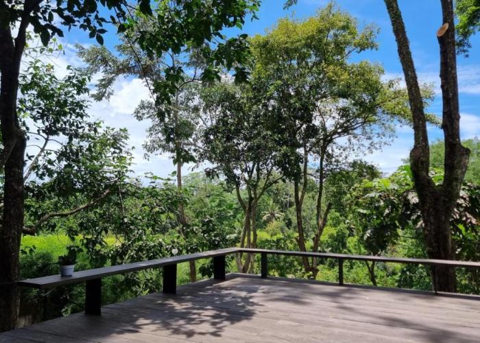 Villa Maxwell Bali