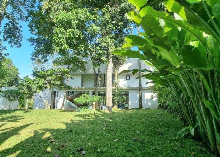 Villa Maxwell Bali