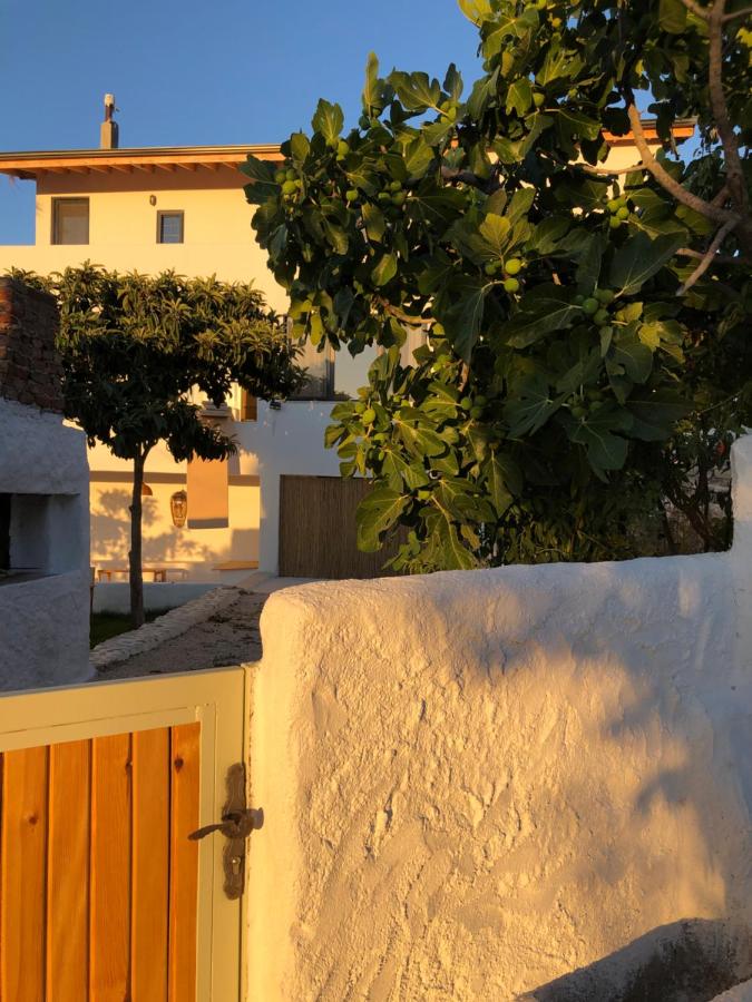 фото Arunurla Zeytinler Houses