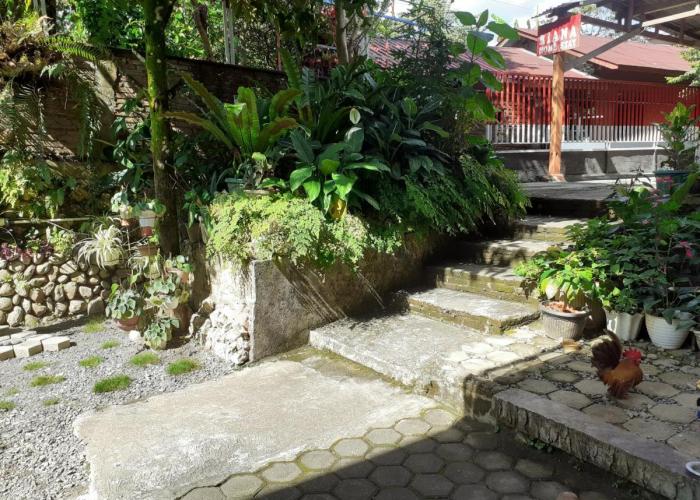 Riana's Homestay