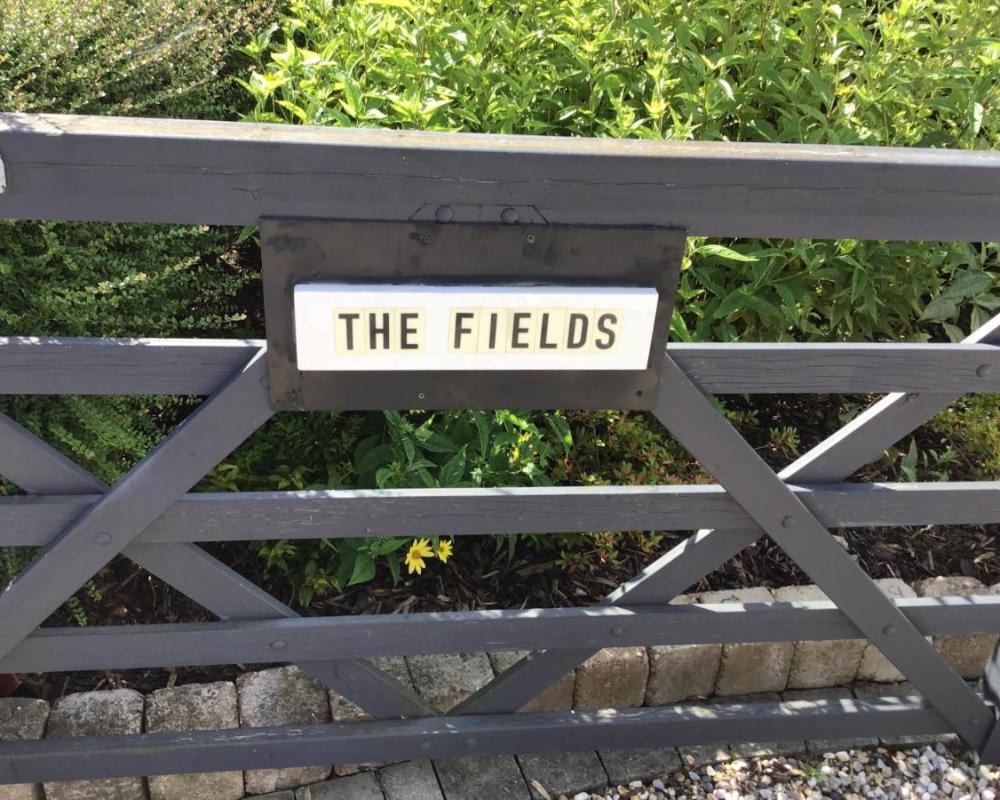 фото The Fields