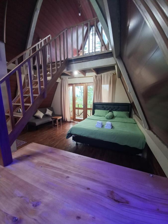 фото Agora Home