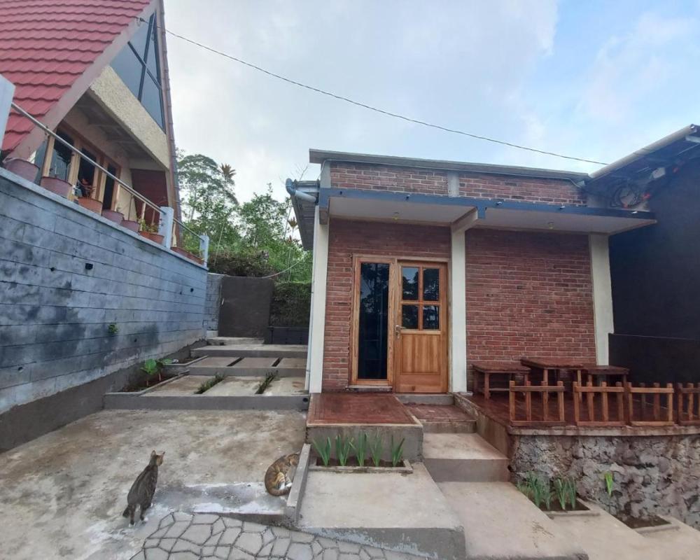 фото Agora Home