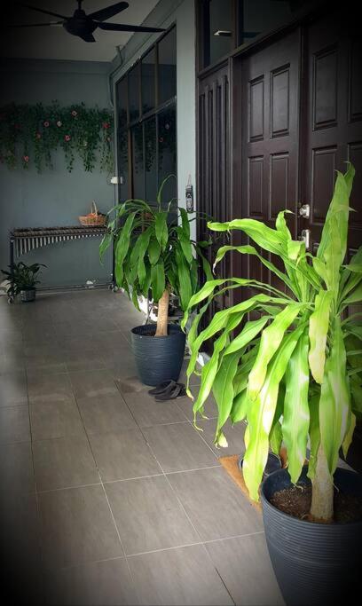 Family Holiday House @Civic Centre Dewan Suarah