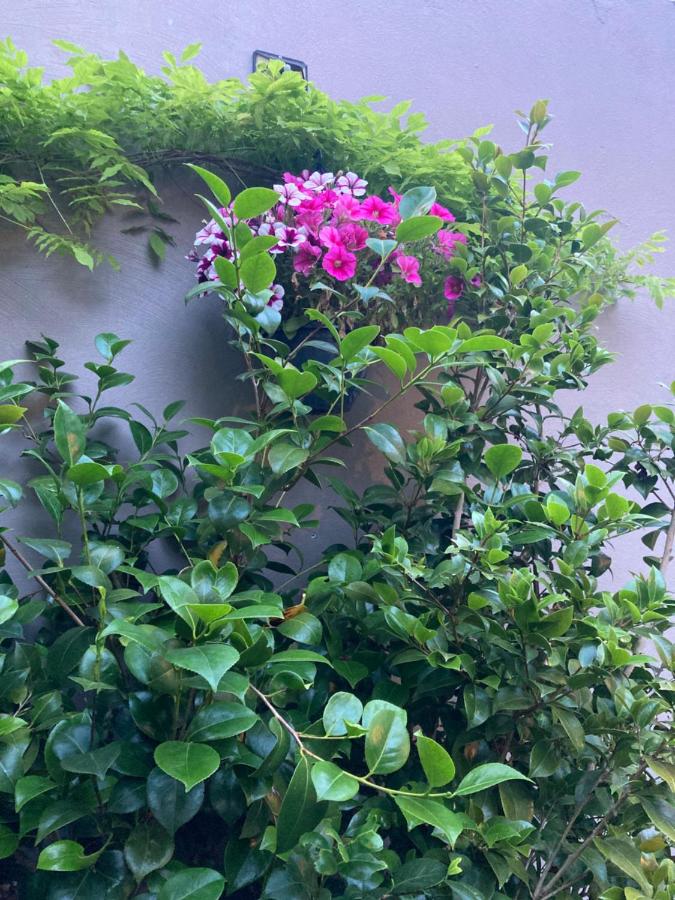 фото Chez Roya