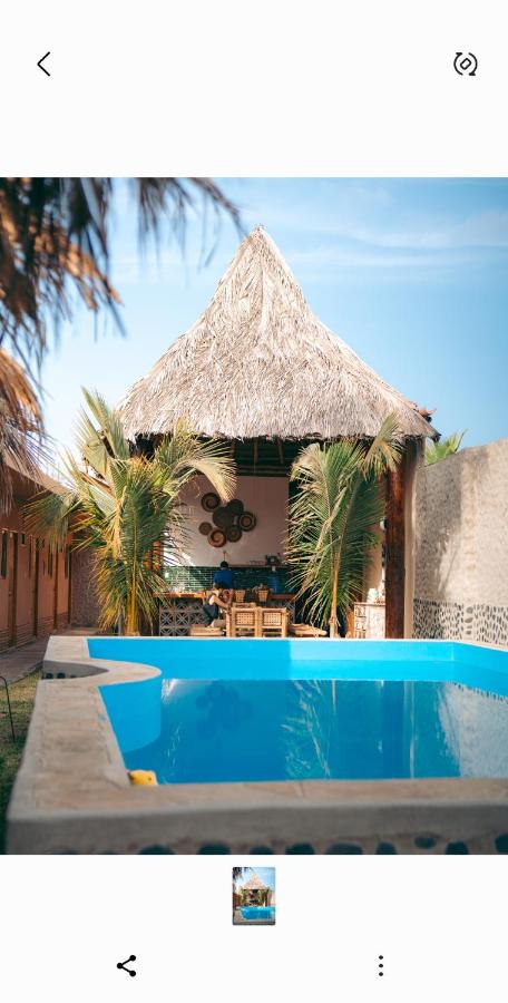 IGUANA HOUSE