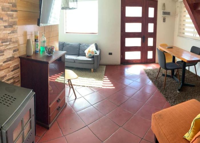 HOsTAL PALMED