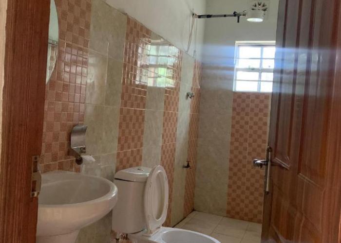 Plush 3 Bedroom Apartment Home