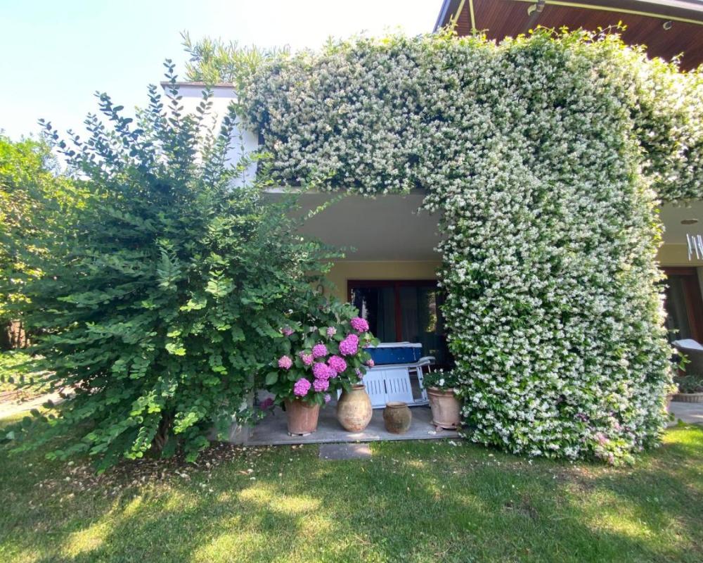 фото Maison Montello