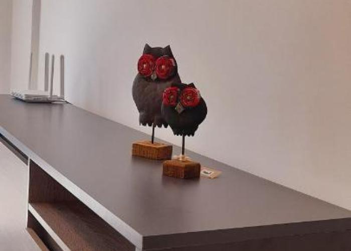 Roca Apartment