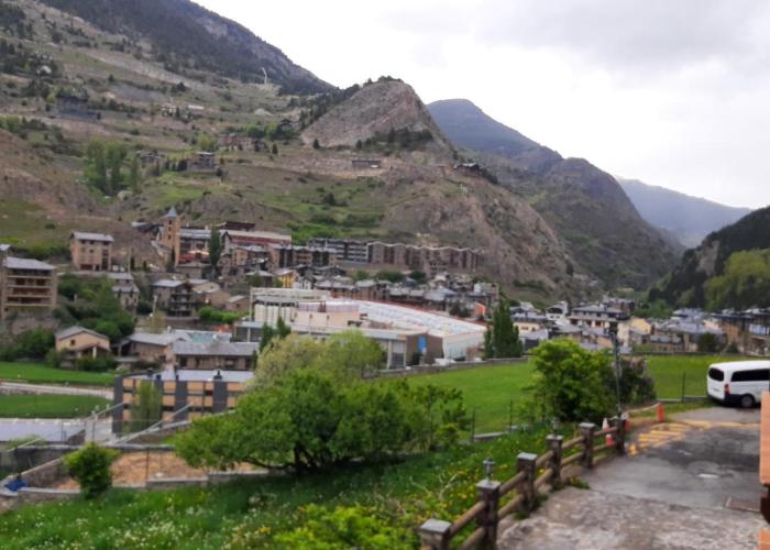 Flor de Muntanya HUT1-08302