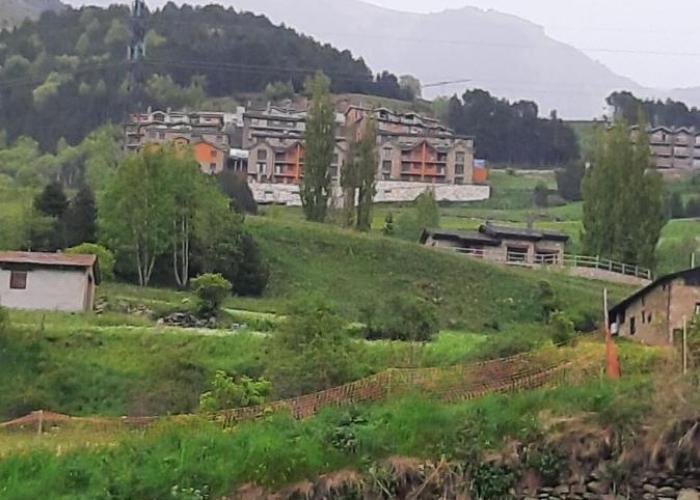 Flor de Muntanya HUT1-08302