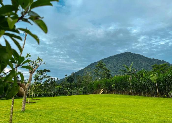 Munduk Luwih Ecolodge Bedugul by AGATA