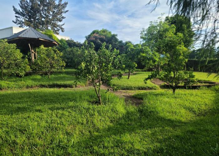 Orchard Home Homestay