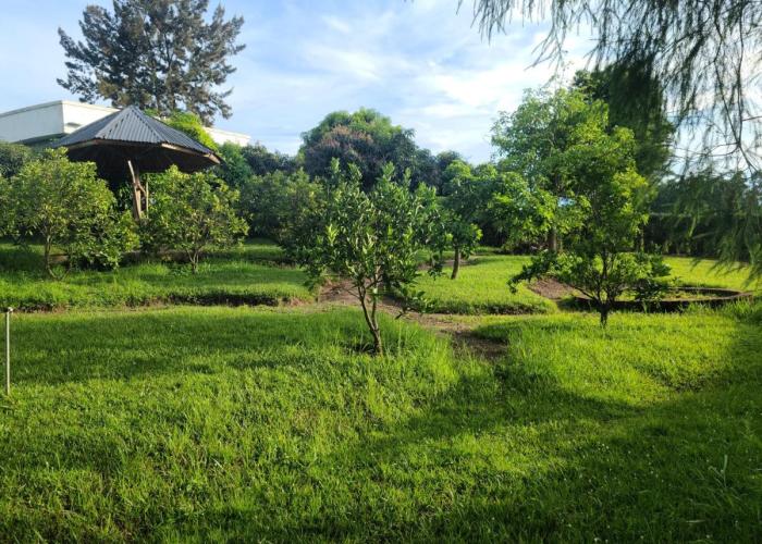 Orchard Home Homestay