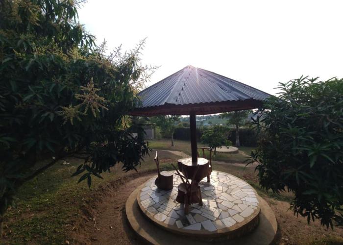 Orchard Home Homestay