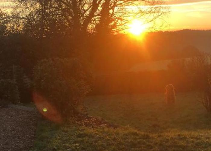 Meadowside Cottage, Characterful Grade 2 Listed Cottage near to Wadebridge and Padstow