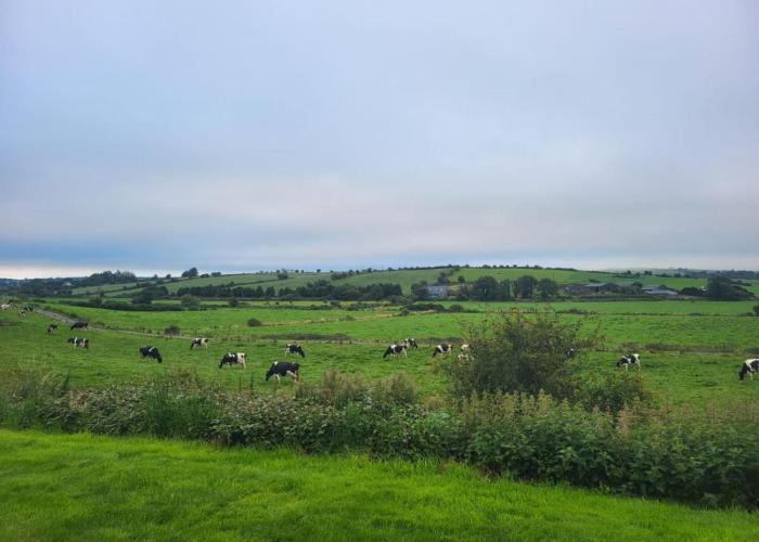Radharc Na Greine