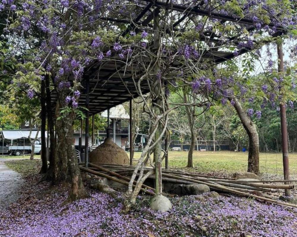 фото 江山樂活Lohas