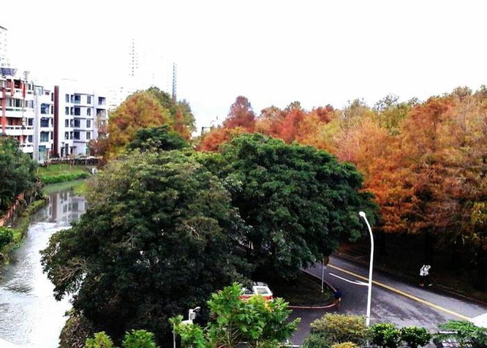 No 5 Park Homestay