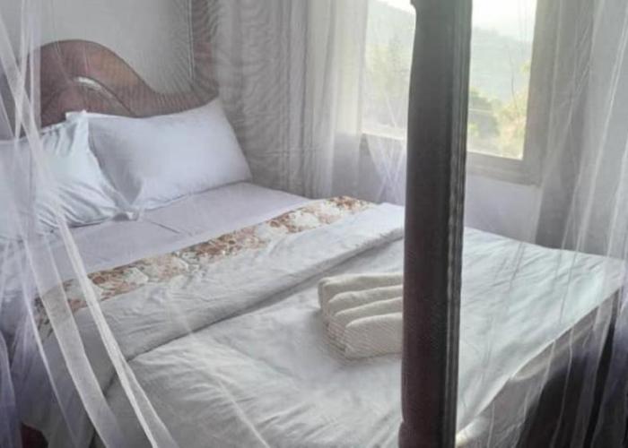 Ruhija Gorilla Guest House