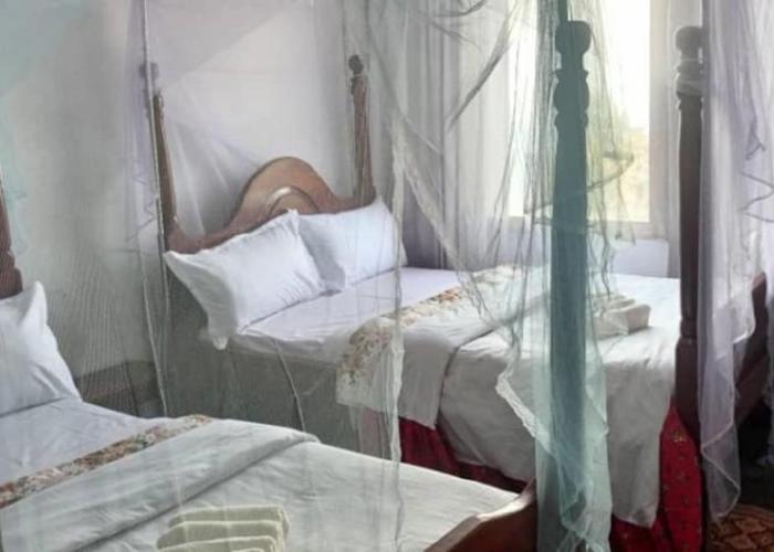 Ruhija Gorilla Guest House