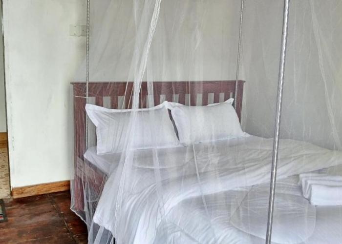 Ruhija Gorilla Guest House