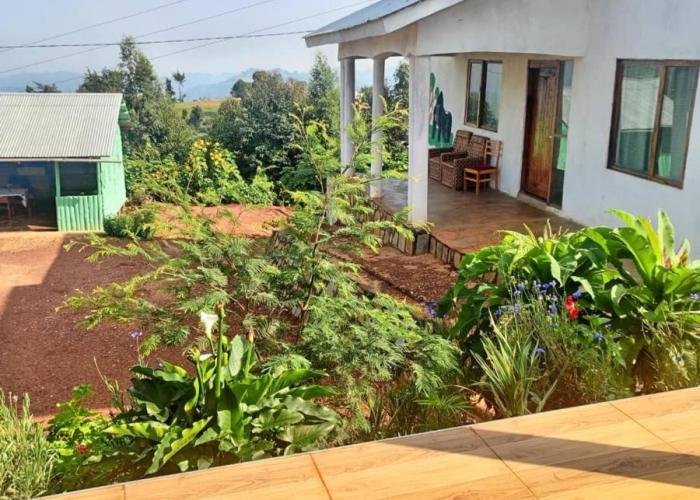 Ruhija Gorilla Guest House