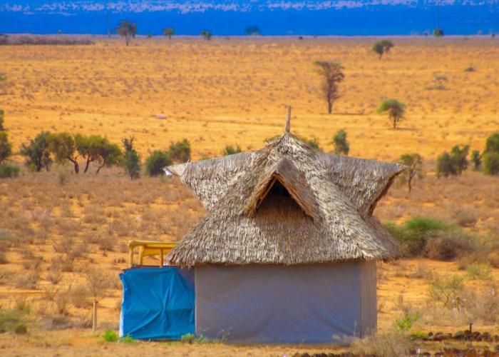 Amanya Zebra 1-Bed Wigwam in Amboseli
