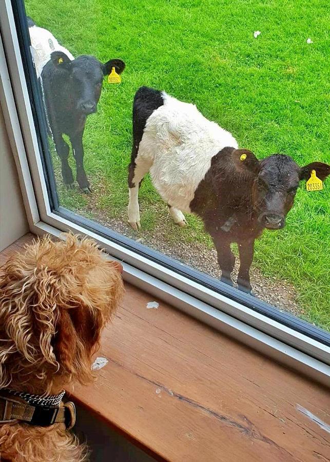 фото Finest Retreats - Ingleside Cottage