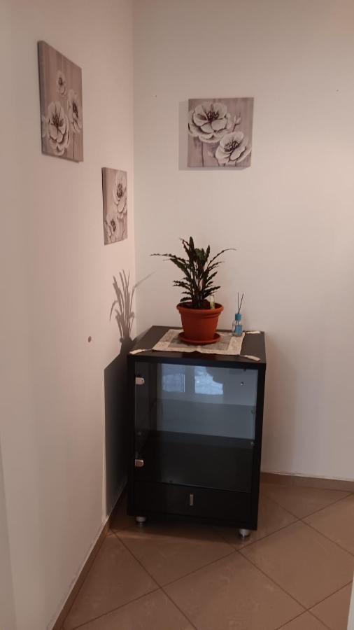 фото Serenity Apt Iztok Sofia