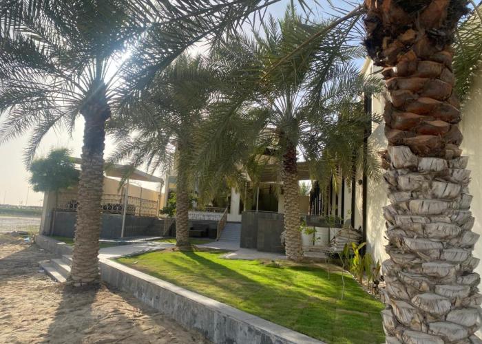 شالية كوف COV FIlLA