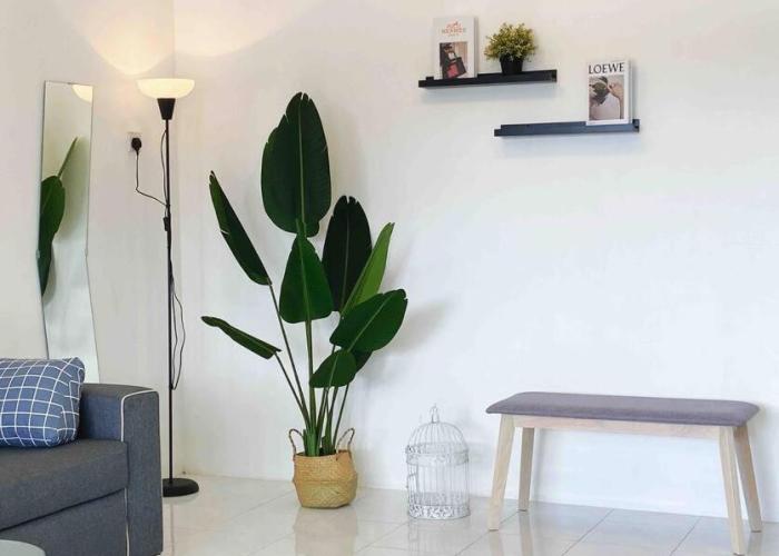 Diamond Bay Homestay