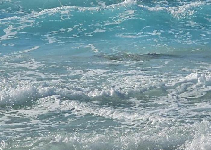 Santorini North Coast Resort